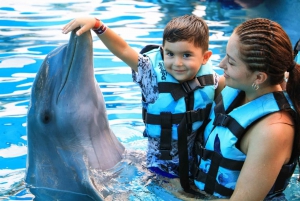 Aventura con delfines y encuentro interactivo en Punta Cana