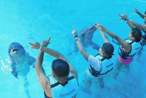 Aventura con delfines y encuentro interactivo en Punta Cana