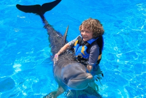 Punta Cana: nados y encuentros con Dolphin Discovery