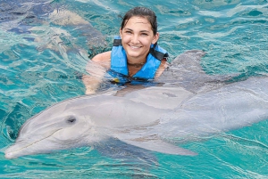 Punta Cana: Dolphin Discovery Swims and Encounters