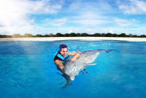 Punta Cana: nados y encuentros con Dolphin Discovery