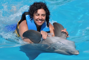 Punta Cana: nados y encuentros con Dolphin Discovery