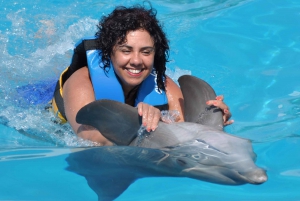 Punta Cana: Dolphin Discovery Swims and Encounters