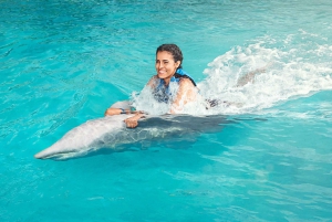 Punta Cana: nados y encuentros con Dolphin Discovery