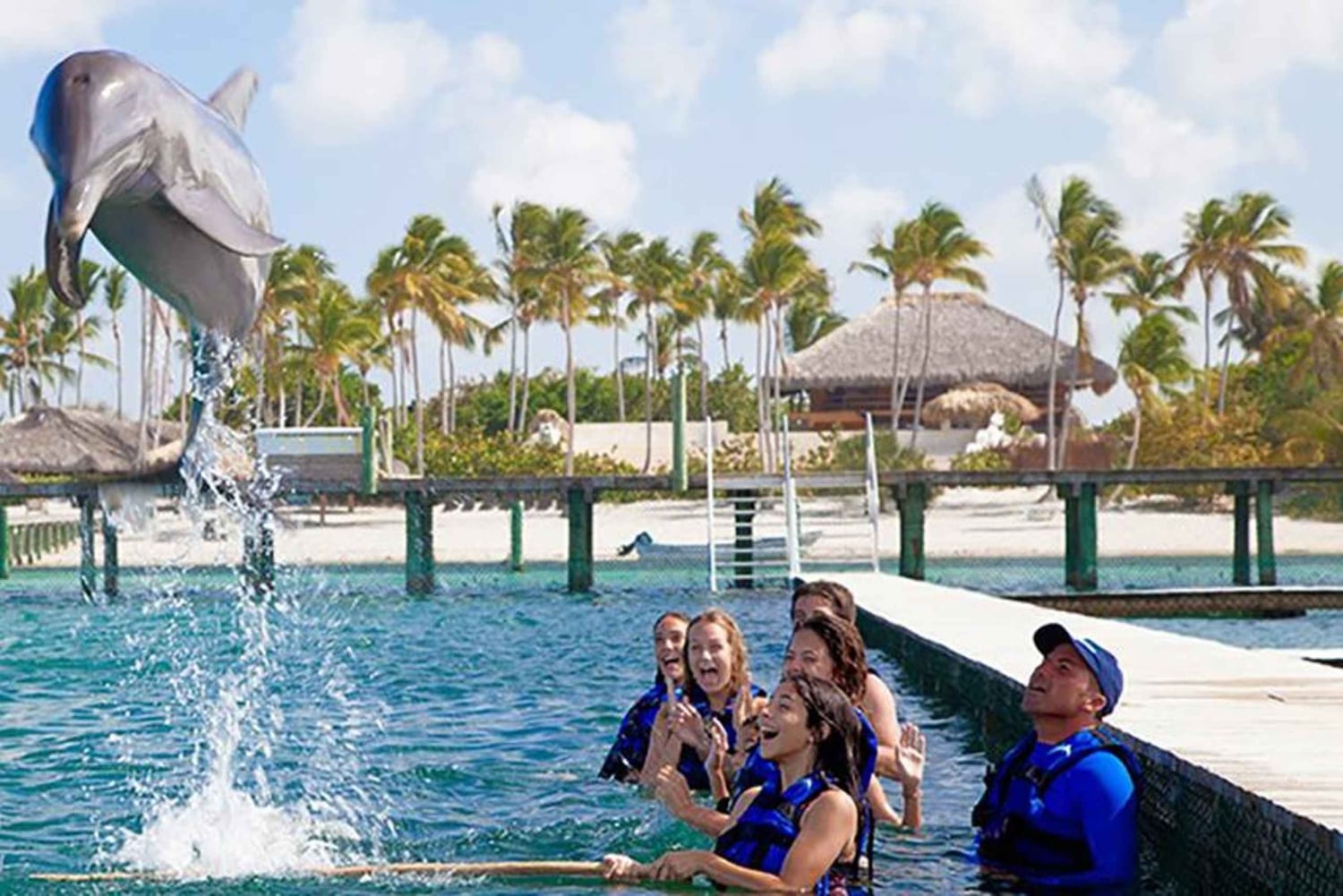 Punta Cana Dolphin Experience: 50 Minutes of Water Fun
