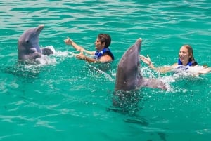 Punta Cana Dolphin Experience: 50 Minutes of Water Fun