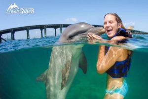 Punta Cana Dolphin Experience: 50 Minutes of Water Fun