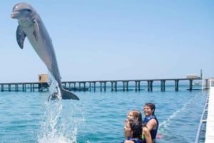 Punta Cana Dolphin Experience: 50 Minutes of Water Fun