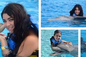 Punta Cana: Dolphin Explorer Park Entry, Swim, or Encounter