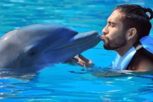 Punta Cana: Dolphin Explorer Park Entry, Swim, or Encounter