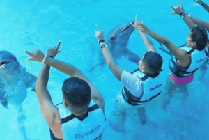 Punta Cana: Dolphin Explorer Park Entry, Swim, or Encounter