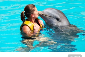 Punta Cana: Dolphin Explorer Park Entry, Swim, or Encounter