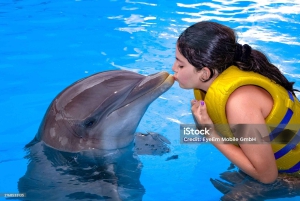 Punta Cana: Dolphin Explorer Park Entry, Swim, or Encounter