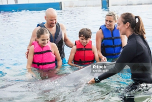 Punta Cana: Dolphin Explorer Park Entry, Swim, or Encounter