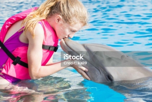 Punta Cana: Dolphin Explorer Park Entry, Swim, or Encounter