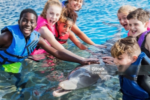 Punta Cana: Dolphin Explorer Park Entry, Swim, or Encounter