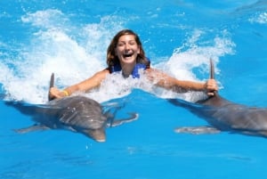 Punta Cana: Dolphin Explorer Swims and Encounters ,Entrance