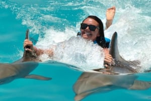 Punta Cana: Dolphin Explorer Schwimmen und Begegnungen ,Eintritt