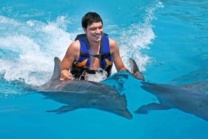 Punta Cana: Dolphin Explorer simning och möten ,Entré