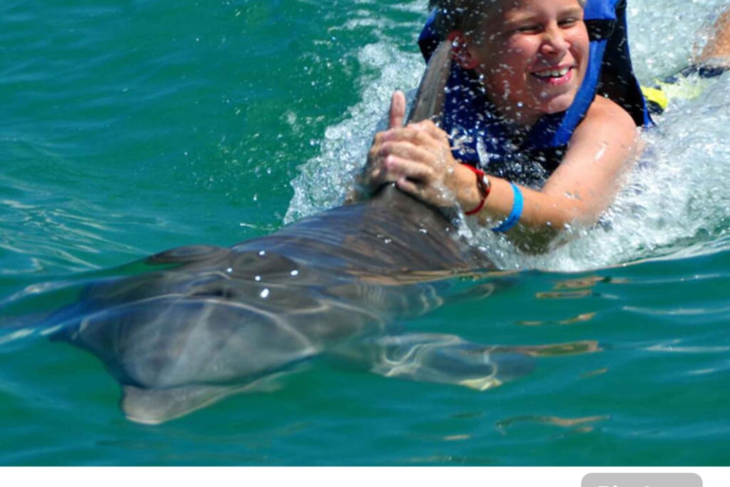 Punta Cana: Dolphin Park Entry and Swim with Dolphins