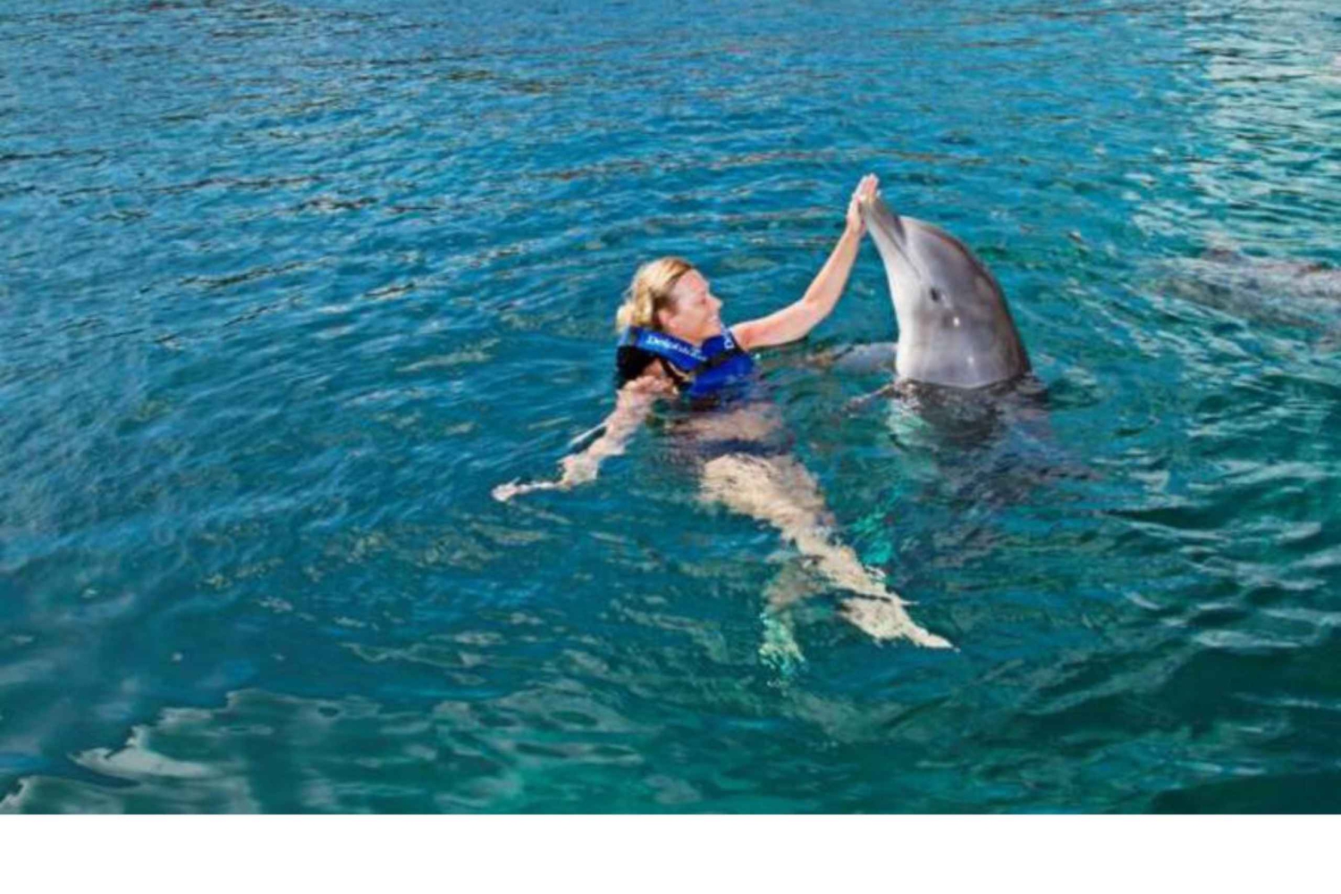 Punta Cana: Dolphin Park Entry and Swim with Dolphins