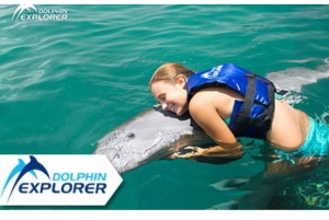 Punta Cana: Dolphin Park Entry and Swim with Dolphins