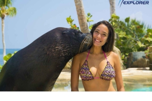 Punta Cana: Dolphin Park Entry and Swim with Dolphins