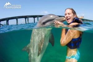 Aventure de nage avec les dauphins à Punta Cana : 40 minutes d'expérience avec les dauphins