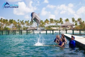 Aventure de nage avec les dauphins à Punta Cana : 40 minutes d'expérience avec les dauphins