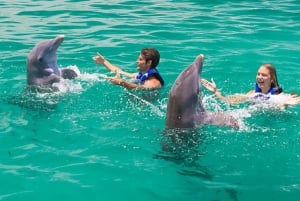 Aventure de nage avec les dauphins à Punta Cana : 40 minutes d'expérience avec les dauphins