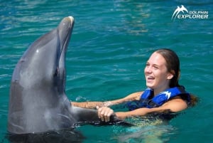 Aventure de nage avec les dauphins à Punta Cana : 40 minutes d'expérience avec les dauphins