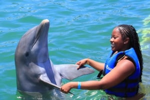 Aventure de nage avec les dauphins à Punta Cana : 40 minutes d'expérience avec les dauphins