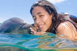 Aventure de nage avec les dauphins à Punta Cana : 40 minutes d'expérience avec les dauphins