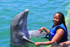 Aventure de nage avec les dauphins à Punta Cana : 40 minutes d'expérience avec les dauphins