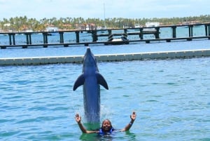 Aventure de nage avec les dauphins à Punta Cana : 40 minutes d'expérience avec les dauphins