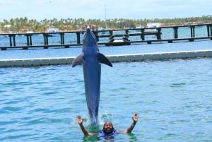 Aventure de nage avec les dauphins à Punta Cana : 40 minutes d'expérience avec les dauphins