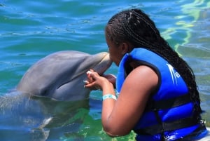 Aventure de nage avec les dauphins à Punta Cana : 40 minutes d'expérience avec les dauphins