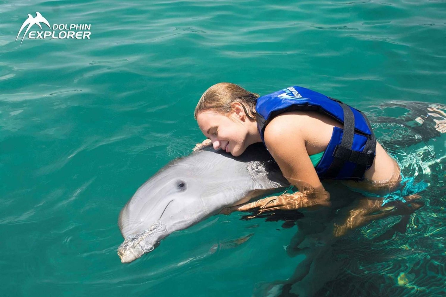 Punta Cana Dolphin Swim Adventure: 50-min Dolphin Experience