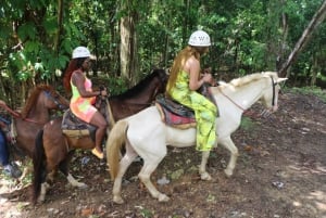 Punta Cana: Dominican Culture and Cenote Tour with Lunch
