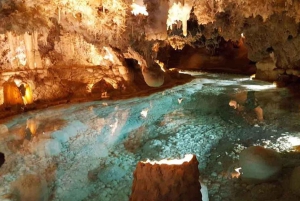 Punta Cana: Dominican Flavors Guided Day Trip