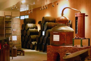 Punta Cana: Dominican Flavors Guided Day Trip