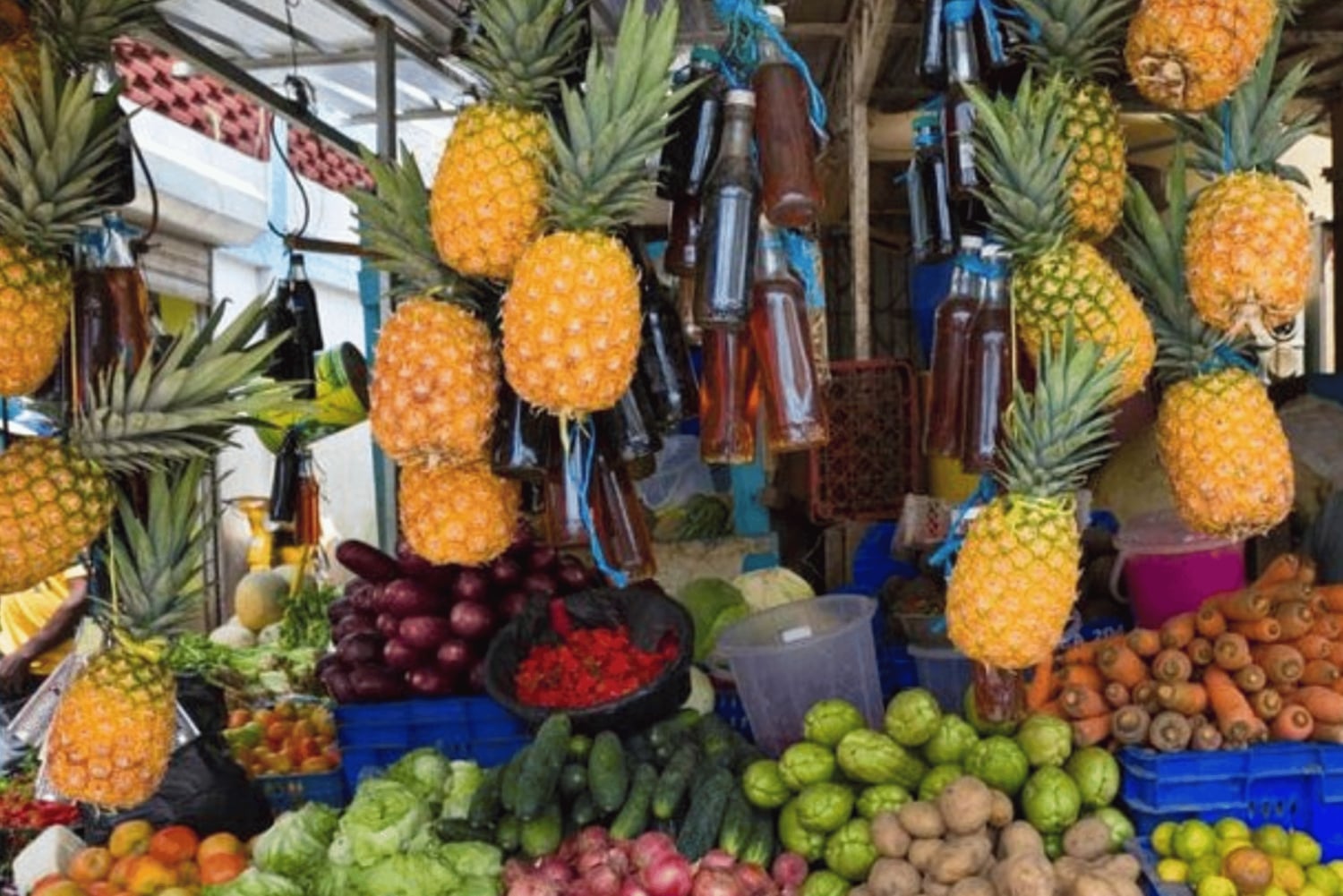 Punta Cana: Dominican Republic Culture Tour