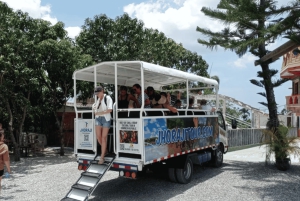 Punta Cana: Dominican Republic Culture Tour