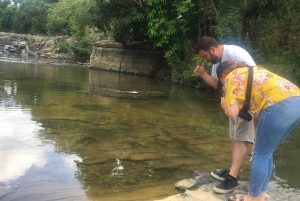 Punta Cana: Dominican Republic Culture Tour