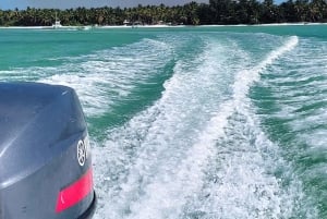 Punta Cana: Paseo doble en lancha rápida con snorkel