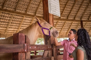 Punta Cana: Eco Park Safari Avontuur