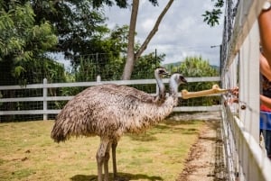 Punta Cana: Eco Park Safari Adventure