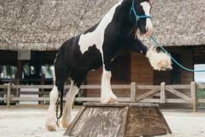 Punta Cana: Eco Park Safari Adventure