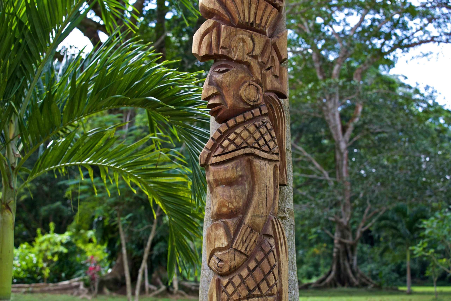 Punta Cana: Ecological Reserve 4x4 Tour with Tastings