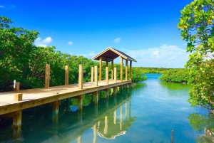 Punta Cana: Ecological Reserve 4x4 Tour with Tastings